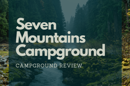 River set amongst moss covered rocks and tall trees