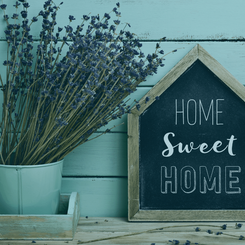 Sign that read home sweet home resting against a wooden wall with a pot of purple flowers next to it